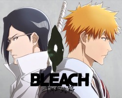 Bleach: Sennen Kessen-hen – Soukoku-tan (Dublado) – Episódio 14