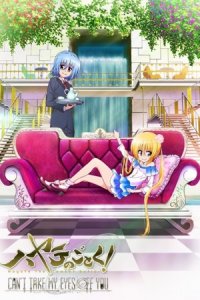 Hayate no Gotoku! Can’t Take My Eyes Off You (2012) – Todos os Episódios