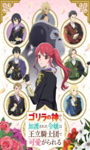Gorilla no Kami – Todos os Episódios