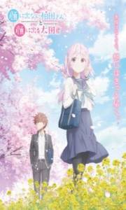 Kao ni Denai Kashiwada-san – Todos os Episódios